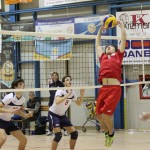 Sloga Tabor - Olympia