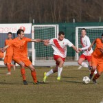 Manzanese - Kras Repen