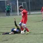 Torviscosa - Kras Repen