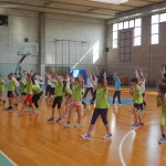 ZSSDI - Skokicin vrtiljak