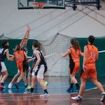 Polet – Cussignacco