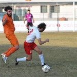 Manzanese - Kras Repen