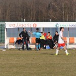 Manzanese - Kras Repen