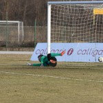 Manzanese - Kras Repen