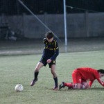 Torviscosa - Kras Repen