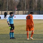 Manzanese - Kras Repen