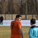 Manzanese - Kras Repen