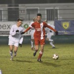 Kras Repen – Domio