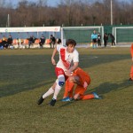 Manzanese - Kras Repen