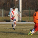 Manzanese - Kras Repen