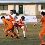 Manzanese - Kras Repen