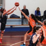 Polet – Cussignacco