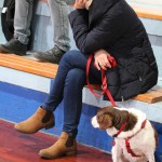 Polet – Cussignacco