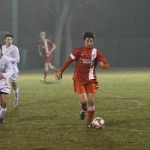 Kras Repen – Domio