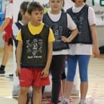 Skokičin vrtiljak
