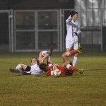 Kras Repen – Domio