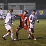 Kras Repen – Domio