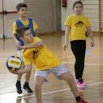 Skokičin vrtiljak
