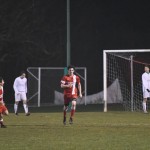 Kras Repen – Domio