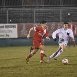 Kras Repen – Domio