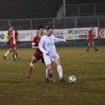 Kras Repen – Domio