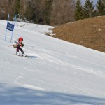 29. Pokal prijateljstva treh dežel - 13.Memorial Lucijan Sosič