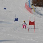 29. Pokal prijateljstva treh dežel - 13.Memorial Lucijan Sosič