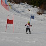 29. Pokal prijateljstva treh dežel - 13.Memorial Lucijan Sosič