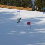 29. Pokal prijateljstva treh dežel - 13.Memorial Lucijan Sosič