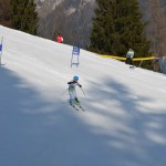 29. Pokal prijateljstva treh dežel - 13.Memorial Lucijan Sosič