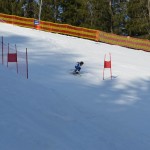 29. Pokal prijateljstva treh dežel - 13.Memorial Lucijan Sosič