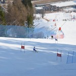 29. Pokal prijateljstva treh dežel - 13.Memorial Lucijan Sosič