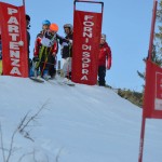 29. Pokal prijateljstva treh dežel - 13.Memorial Lucijan Sosič