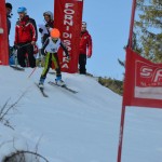 29. Pokal prijateljstva treh dežel - 13.Memorial Lucijan Sosič