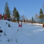 29. Pokal prijateljstva treh dežel - 13.Memorial Lucijan Sosič