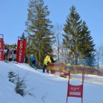 29. Pokal prijateljstva treh dežel - 13.Memorial Lucijan Sosič