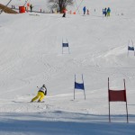 29. Pokal prijateljstva treh dežel - 13.Memorial Lucijan Sosič