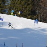 29. Pokal prijateljstva treh dežel - 13.Memorial Lucijan Sosič