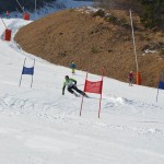29. Pokal prijateljstva treh dežel - 13.Memorial Lucijan Sosič