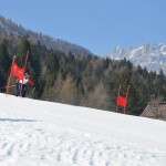 29. Pokal prijateljstva treh dežel - 13.Memorial Lucijan Sosič