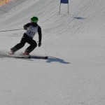 29. Pokal prijateljstva treh dežel - 13.Memorial Lucijan Sosič