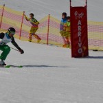 29. Pokal prijateljstva treh dežel - 13.Memorial Lucijan Sosič