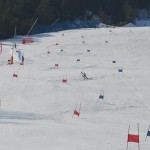 29. Pokal prijateljstva treh dežel - 13.Memorial Lucijan Sosič