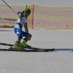 29. Pokal prijateljstva treh dežel - 13.Memorial Lucijan Sosič