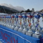 29. Pokal prijateljstva treh dežel - 13.Memorial Lucijan Sosič