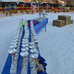 29. Pokal prijateljstva treh dežel - 13.Memorial Lucijan Sosič