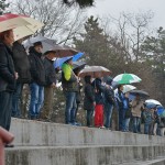 Primorec - Juventina