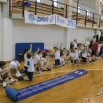 Skokičin vrtiljak