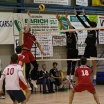 Volley Treviso - Sloga Tabor Televita