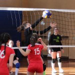 Poggivolley – Sokol